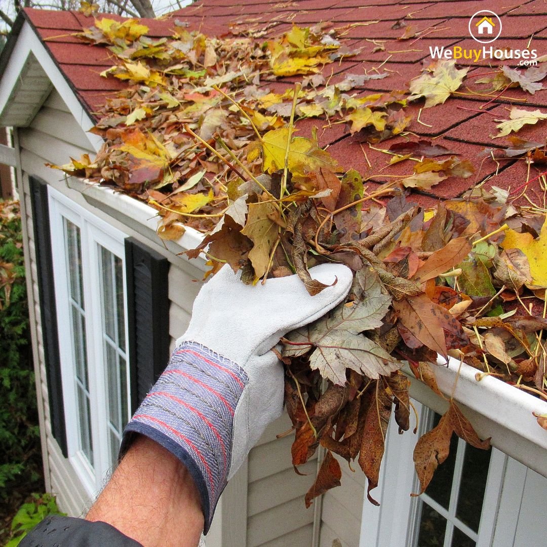 how to clean your gutters