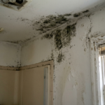 sell house with mold Virginia as-is cash buyers