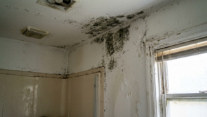 sell house with mold Virginia as-is cash buyers
